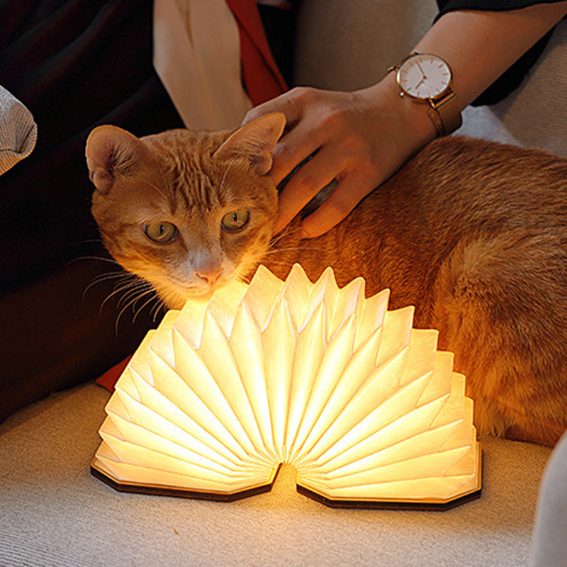 Zen Houtlamp