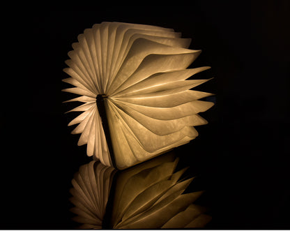 Zen Boeklamp