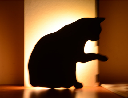 Glow Hond & Kat Nachtlamp