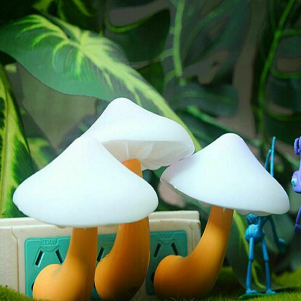 Glow Paddenstoel Lamp
